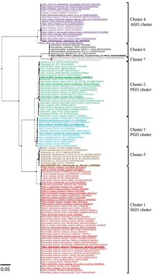 Overview of Salmonella Genomic Island 1-Related Elements Among Gamma-Proteobacteria Reveals Their Wide Distribution Among Environmental Species